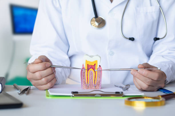 Best Emergency Tooth Extraction in Shenorock, NY